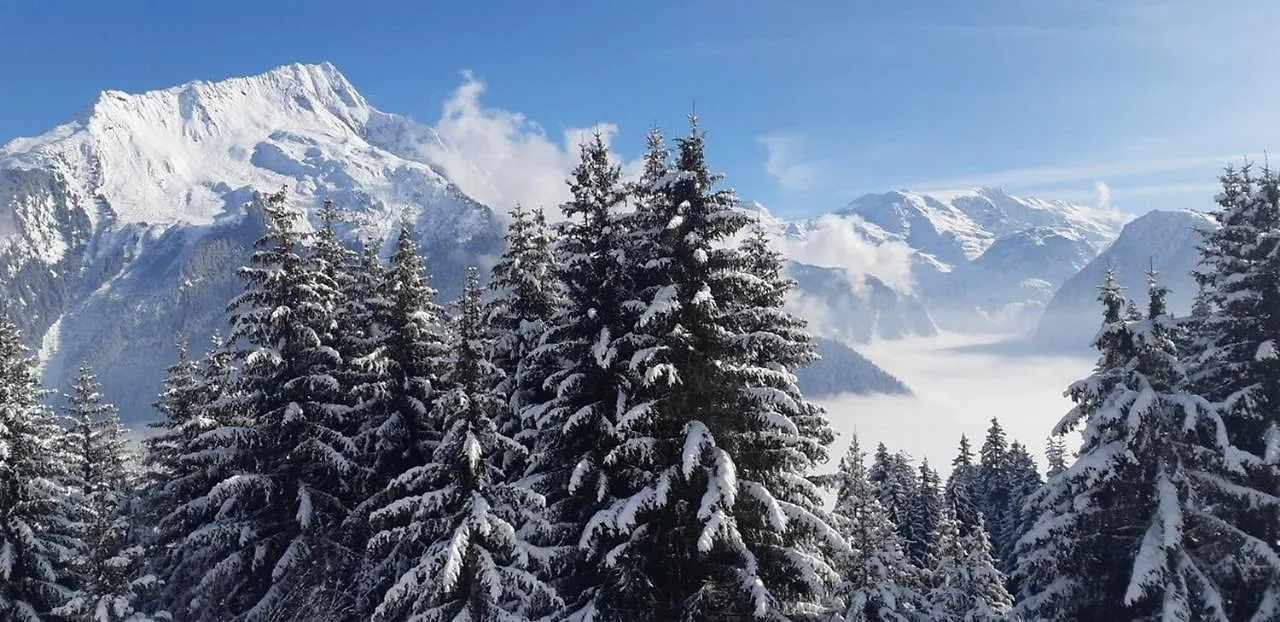 Les Glieres - Champagny-En-Vanoise La Plagne 3*,  Frankreich