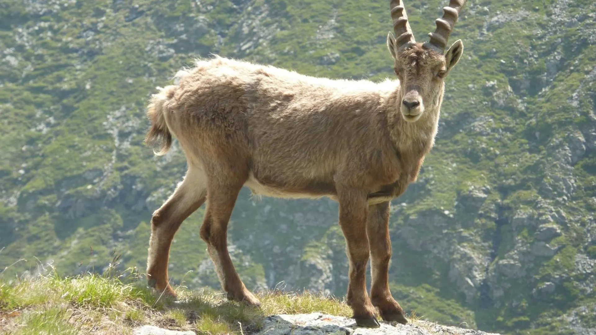 Les Glieres - Champagny-En-Vanoise La Plagne Hotel